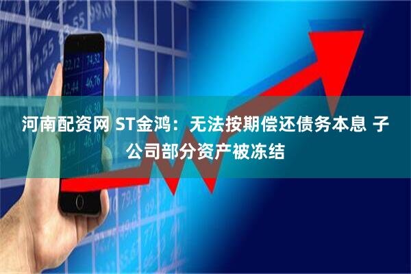 河南配资网 ST金鸿：无法按期偿还债务本息 子公司部分资产被冻结