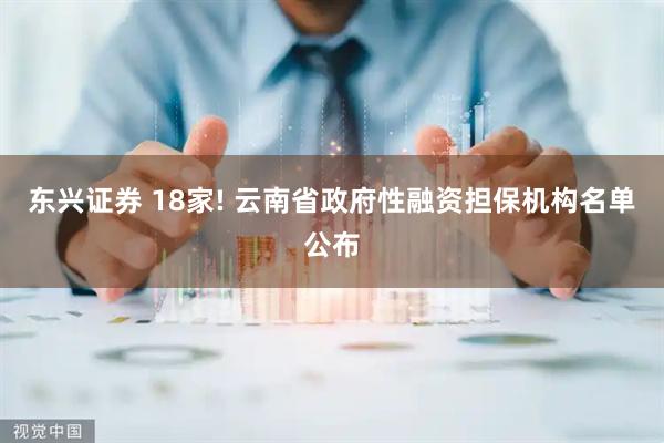 东兴证券 18家! 云南省政府性融资担保机构名单公布