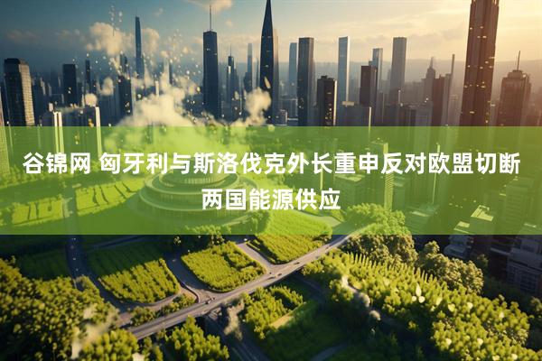 谷锦网 匈牙利与斯洛伐克外长重申反对欧盟切断两国能源供应